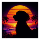 Search for cockapoo posters Pet