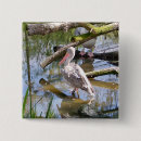 Search for pelicans badges Animals