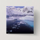 Search for antarctic badges Sea