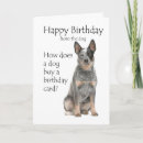Search for cattle dog birthday cards Pet