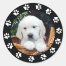 Search for puppy paw stickers Pet