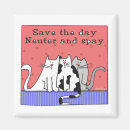 Search for spayed magnets Cats