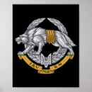 Search for special operations posters Forces