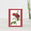 Search for redoute cards Rose