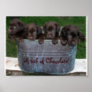 Search for chocolate lab art Labs