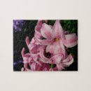 Search for hyacinth puzzles Floral