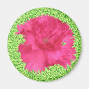 Search for carnations magnets Garden