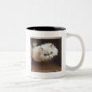 Search for box mugs Photography
