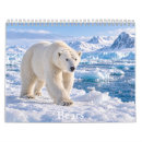 Search for bears calendars Black bear