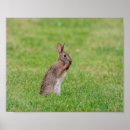 Search for 10x8 posters Nature