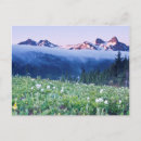 Search for altitude postcards Environment