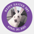 Search for easter dog stickers Funny