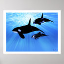 Search for cetacean art Humpback