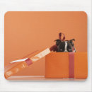 Search for surprising mouse mats Surprise