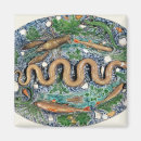 Search for bernard magnets Snake