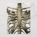 Search for rib postcards Digitally generated image