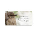 Search for songbirds return address labels Birding
