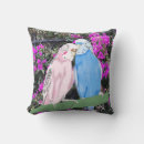 Search for blue budgie cushions Budgerigars