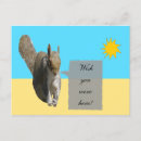 Search for cute squirrel pictures postcards Wildlife