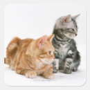 Search for interesting stickers Baby