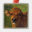 Search for beef christmas tree decorations Bull