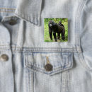 Search for apes square badges Wildlife
