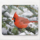 Search for fir tree mouse mats Bird