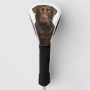 Search for labrador golf equipment Pet