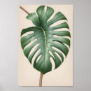 Search for vintage earth day posters Nature lover