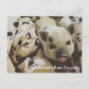 Search for pig love cards Piggy