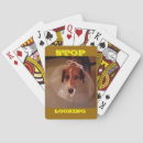 Search for five stud Poker