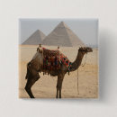 Search for camels badges Egypt