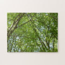 Search for spring puzzles Green