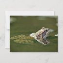 Search for sitting postcards Animal