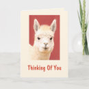 Search for llama cards Alpaca