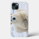 Search for polar bear ipad cases Carnivore