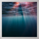 Search for under water posters Nature