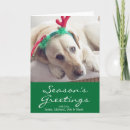 Search for sofa christmas cards Dog