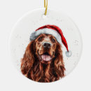 Search for irish setter christmas tree decorations Dog