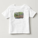 Search for pine mountain tshirts Georgia