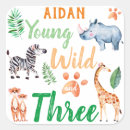Search for young wild and three Zebra