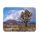 Search for mojave desert magnets Mojave national preserve