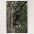 Search for koala puzzles Nature