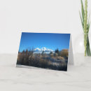 Search for shasta cards California