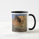 Search for chapel mugs Arizona