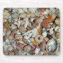 Search for beach shoes electronics Seashell