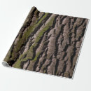 Search for tree trunk wrapping paper Texture