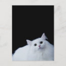 Search for siberian postcards Nature