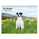 Search for wire fox terrier gifts Terriers