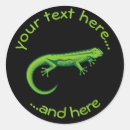 Search for isolation stickers Icon